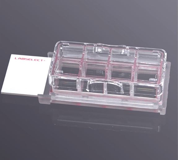 LABSELECT 8-well Cell culture chamber slide, 96 packs